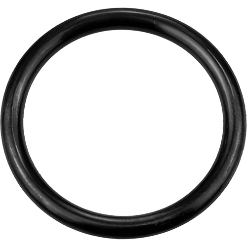 Black Replacement O-Ring, Plain Chandler Sales