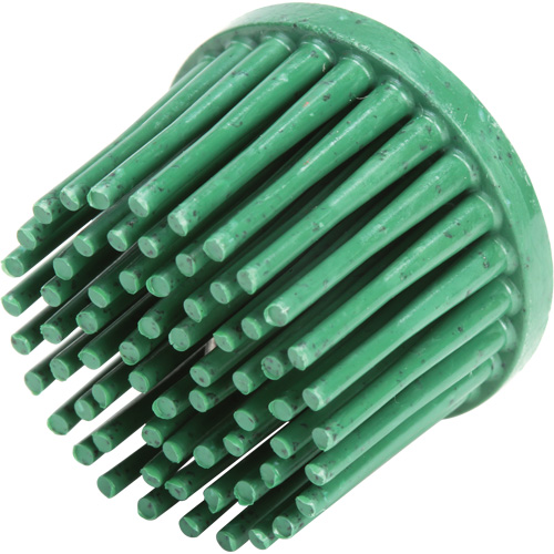 Disques bristle Roloc, C&eacute;ramique, Grain 50, 1" dia. Chandler Sales