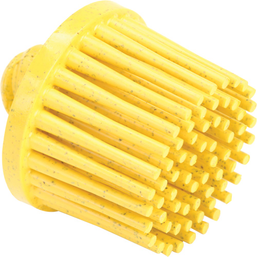 Disques bristle Roloc, Grain 80, 1" dia. Chandler Sales