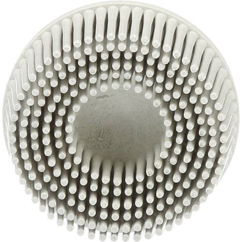 Disques &agrave; soies Roloc Scotch-Brite, Grain 120, 2" dia. Chandler Sales