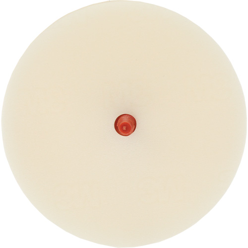 Disque pour enlever les bandes et les adh&eacute;sifs pour moulures Scotch-Brite, 4" dia. Chandler Sales