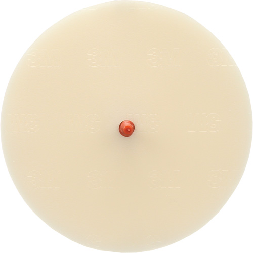 Disque Scotch-Brite 7502 pour retrait de colle et de bandes de moulage, 6" dia. Chandler Sales