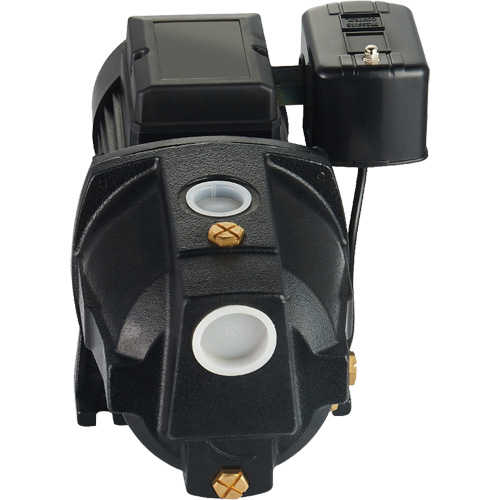 Pompe &agrave; jet en fonte &agrave; double tension pour puit peu profond, 115 V/230 V, 1100 gal./h, 1 CV Chandler Sales