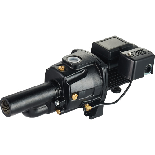 Pompe &agrave; jet en fonte &agrave; double tension transformable, 115 V/230 V, 1100 gal./h, 1/2 CV Chandler Sales
