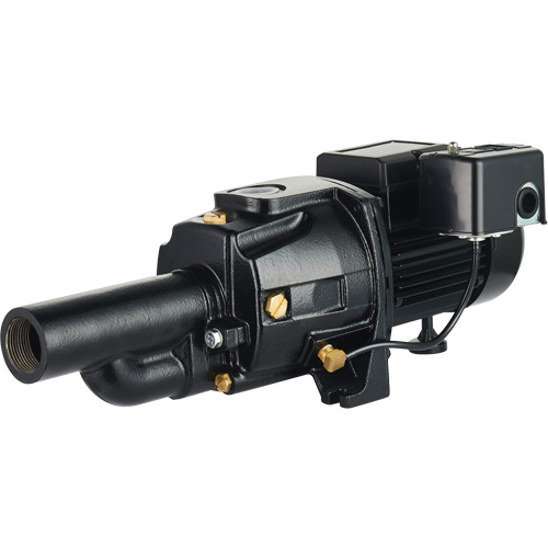Pompe &agrave; jet en fonte &agrave; double tension transformable, 115 V/230 V, 1100 gal./h, 1/2 CV Chandler Sales