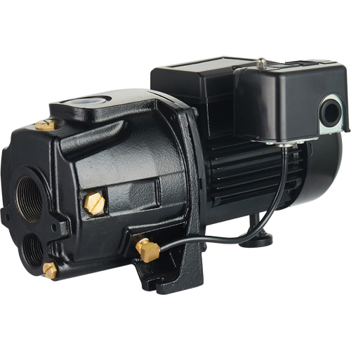 Pompe &agrave; jet en fonte &agrave; double tension transformable, 115 V/230 V, 1100 gal./h, 1/2 CV Chandler Sales