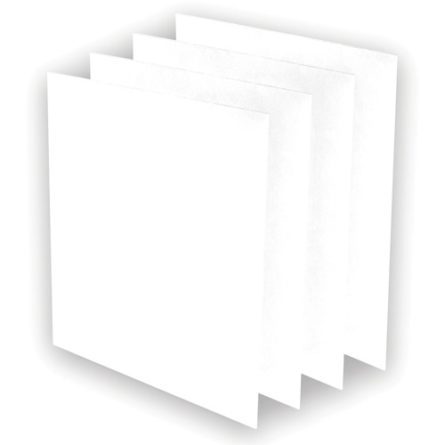 AeraMax&reg; Pro AM3 or AM4 Pre-Filters, 13.75" W x 0.13" D x 14.38" H Chandler Sales