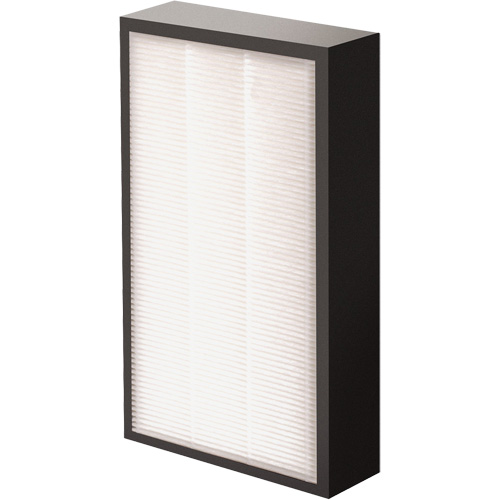 AeraMax&reg; Pro AM2 1-3/4" True HEPA Filter, Box, 7.38" W x 1.88" D x 12.88" H Chandler Sales