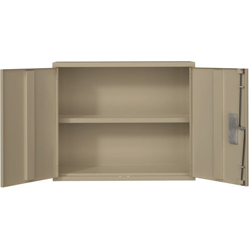 Armoire murale, Acier, 2 Tablettes, 30" h x 36" la x 12" P, Beige Chandler Sales