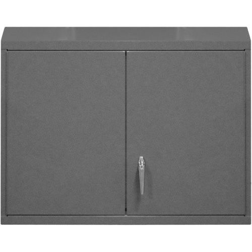 Wall-Mounted Cabinet, 27" H x 29-7/8" W x 13-11/16" D, 2 Shelves, Steel, Grey Chandler Sales