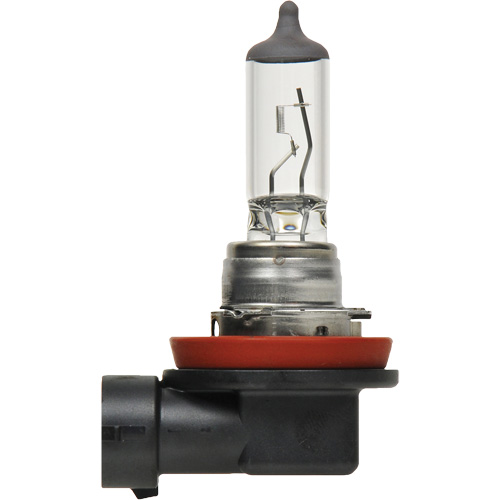 H8 Basic Headlight Bulb, Halogen, 35 W, Off White Chandler Sales