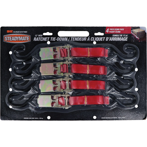 Ratchet Utility Straps, S-Hook, 1" W x 12' L, 500 lbs. (230 kg) Working Load Limit Chandler Sales