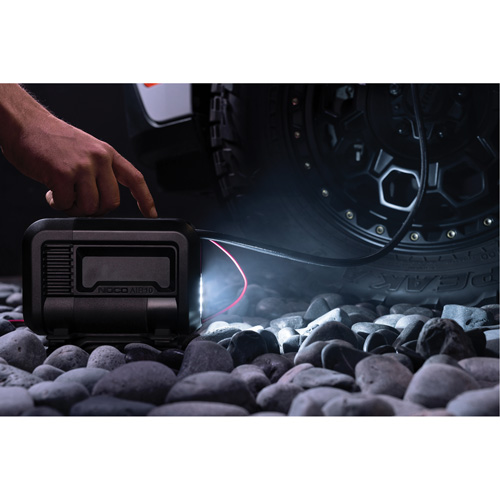 Compresseur d'air portable de 10 A Chandler Sales