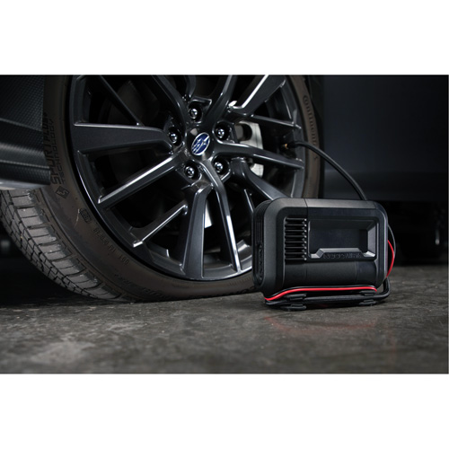 Compresseur d'air portable de 15 A Chandler Sales