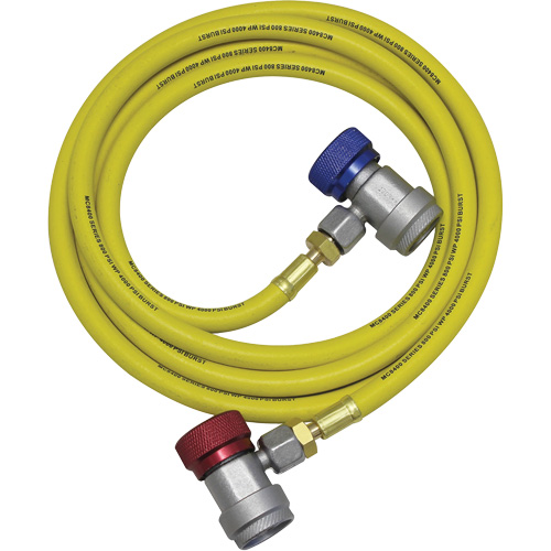 R134a A/C System Flush Hose Assembly Chandler Sales