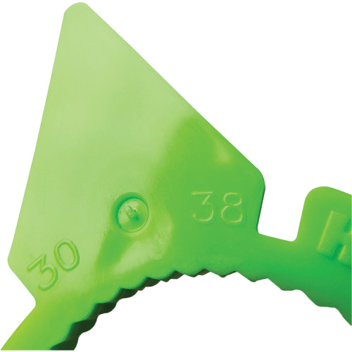 Indicateur d'&eacute;crous de tailles multiples desserr&eacute;s HexChex Chandler Sales