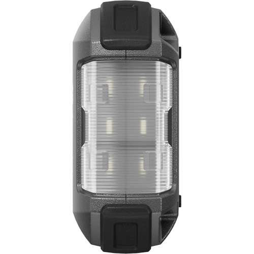 D&eacute;marreur d'appoint, survolteur, banque d'alimentation et lampe de poche JumpSurge1500 Chandler Sales