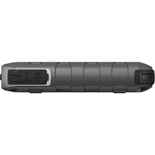 D&eacute;marreur d'appoint, survolteur, banque d'alimentation et lampe de poche JumpSurge1500 Chandler Sales