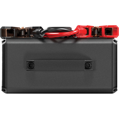 Survolteur V4000 HD 12 V/24 V 4000 A Chandler Sales