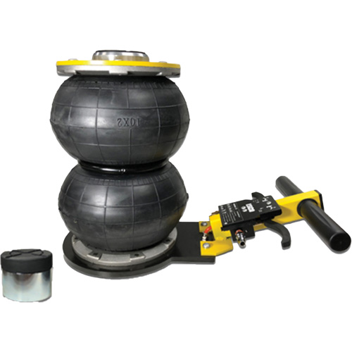 V&eacute;rin &agrave; coussin gonflable biphas&eacute; s&eacute;rie Pro, 2 tonne(s), 17" Hauteur &eacute;lev&eacute;e Chandler Sales