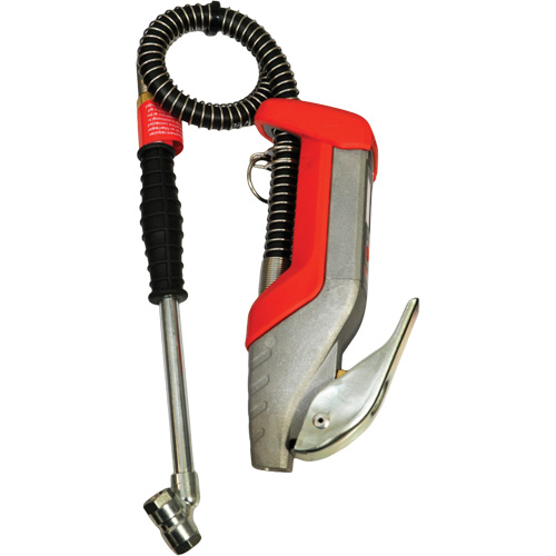 Pro Series Compact Digital Tire Inflator Chandler Sales