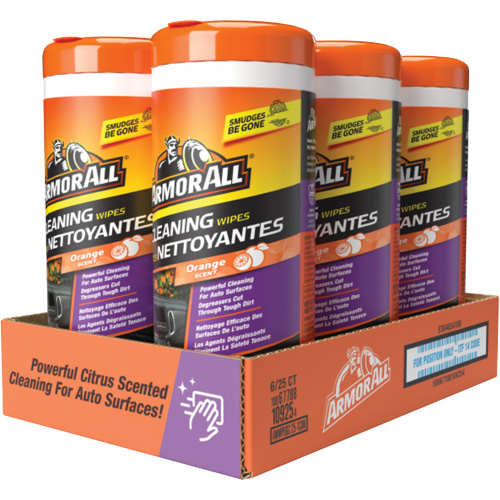 Lingettes nettoyantes et d&eacute;sodorisantes Chandler Sales
