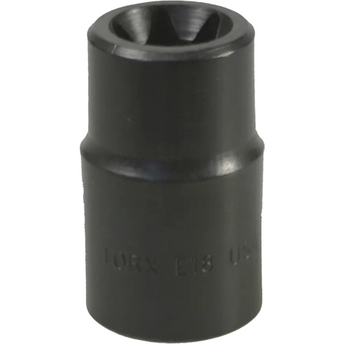 E-18 Torx&reg; Socket Chandler Sales