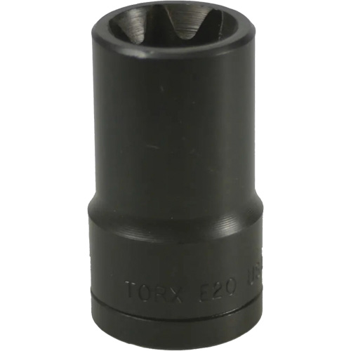 E-20 Torx&reg; Socket Chandler Sales