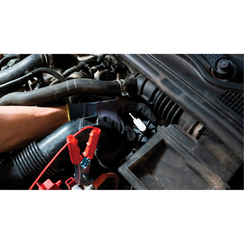 Pompette de purge de frein Brake-Pro &agrave; structure haute avec adaptateurs Chandler Sales