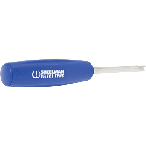 Outil dynamom&eacute;trique &agrave; noyau de valve TPMS 4 lb-po Chandler Sales