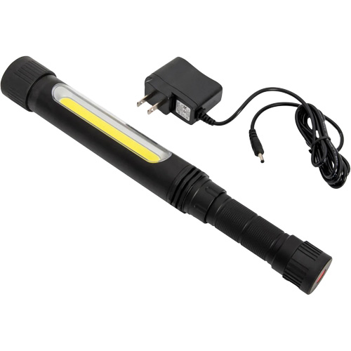 Lampe hybride d'inspection et de poche, Magn&eacute;tique, Rechargeable, 500 lumens Chandler Sales