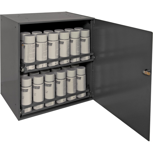 Aerosol Storage Cabinet, Steel, 21-7/8" H x 15-15/16" W x 20-5/16" D, Grey Chandler Sales