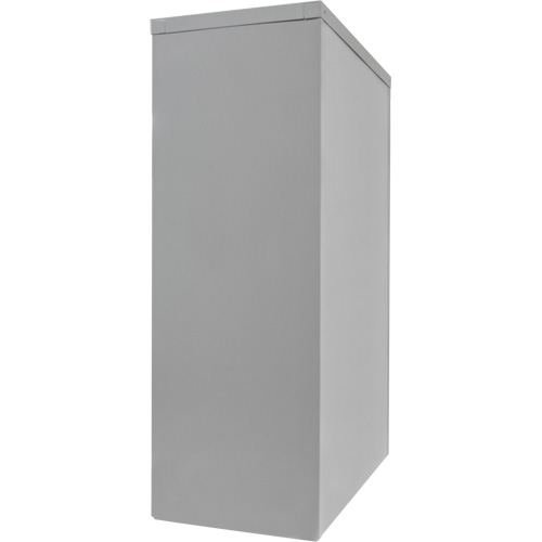 Counter-High Storage Cabinet, Steel, 2 Shelves, 42" H x 36" W x 24" D, Grey Chandler Sales