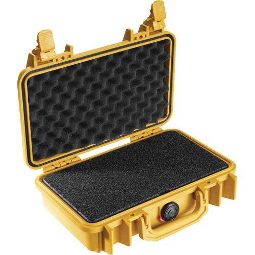 Valise protectrice 1170, Mallette rigide Chandler Sales
