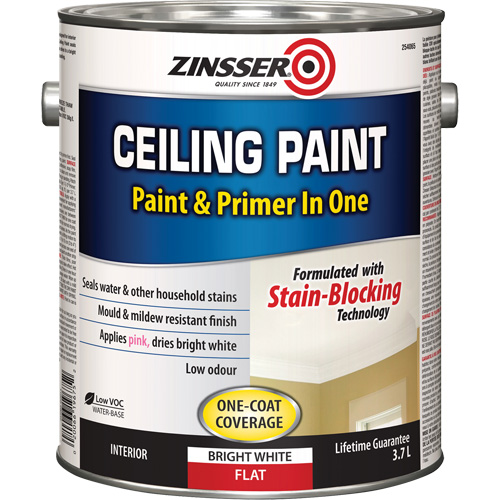Ceiling Paint & Primer in One, White, Very Flat, 3.78 L, Gallon Chandler Sales