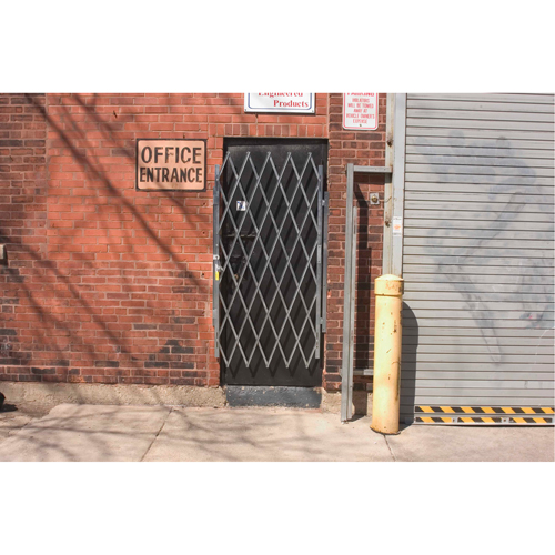 Heavy-Duty Door Gates, Single, 4' L x 6' 3" H Expanded Chandler Sales