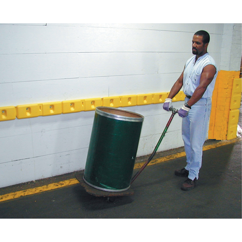Protecteurs pour muret de 10" Chandler Sales