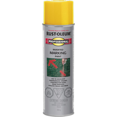 Peinture de marquage renvers&eacute; en a&eacute;rosol, 426 g, Canette a&eacute;rosol Chandler Sales