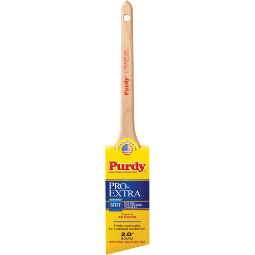 Pinceau Pro-Extra Dale, Mat&eacute;riau m&eacute;lang&eacute;, Manche Bois, Largeur de 2" Chandler Sales