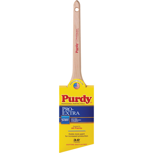 Pinceau Pro-Extra Dale, Mat&eacute;riau m&eacute;lang&eacute;, Manche Bois, Largeur de 3" Chandler Sales