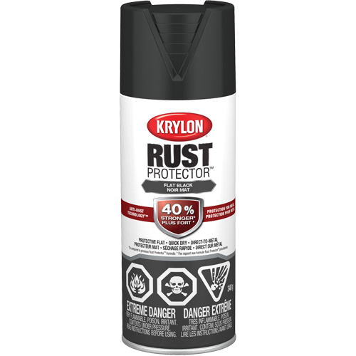 Rust Protector&reg; Enamel Paint, Black, Very Flat, 12 oz., Aerosol Can Chandler Sales