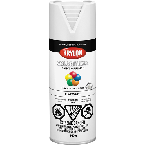 Appr&ecirc;t + peinture COLORmaxx, Blanc, Tr&egrave;s mat, 12 oz, Canette a&eacute;rosol Chandler Sales