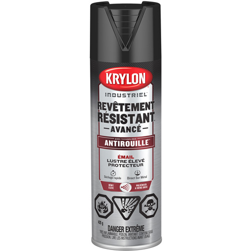 Tough Coat&reg; Advanced Paint with Rust Barrier Technology, Black, High-Gloss, 425 g, Aerosol Can Chandler Sales