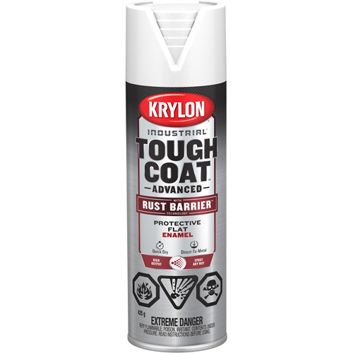Tough Coat&reg; Advanced Paint with Rust Barrier Technology, White, Flat Finish, 425 g, Aerosol Can Chandler Sales
