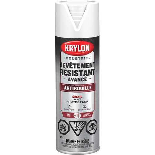 Tough Coat&reg; Advanced Paint with Rust Barrier Technology, White, Flat Finish, 425 g, Aerosol Can Chandler Sales