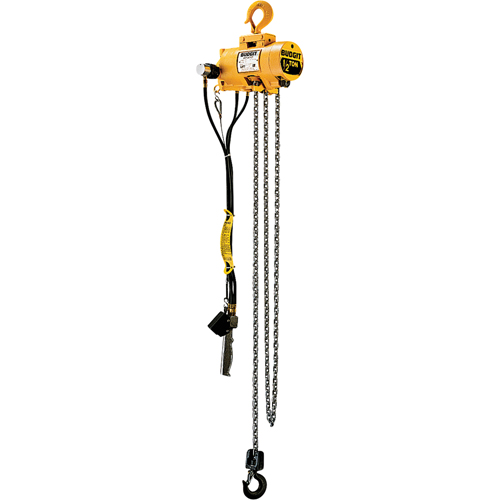 Budgit&reg; Air Chain Hoists Chandler Sales