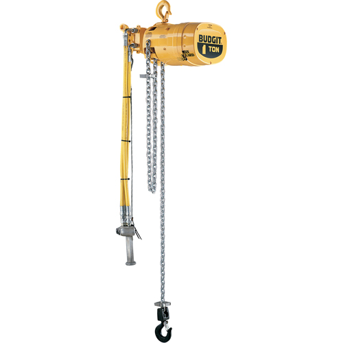 Budgit&reg; Series 6000 Air Hoists Chandler Sales