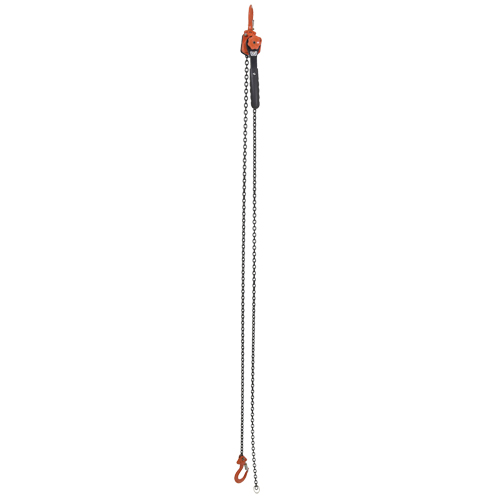 Mini palan &agrave; levier, Lev&eacute;e 10', Cabacit&eacute; 1000 lb (0,5 tonne), Chaîne en Acier Chandler Sales