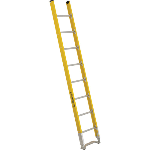 Single Section Straight Ladder - 6100 Series, 8', Fibreglass, 375 lbs., CSA Grade 1AA Chandler Sales