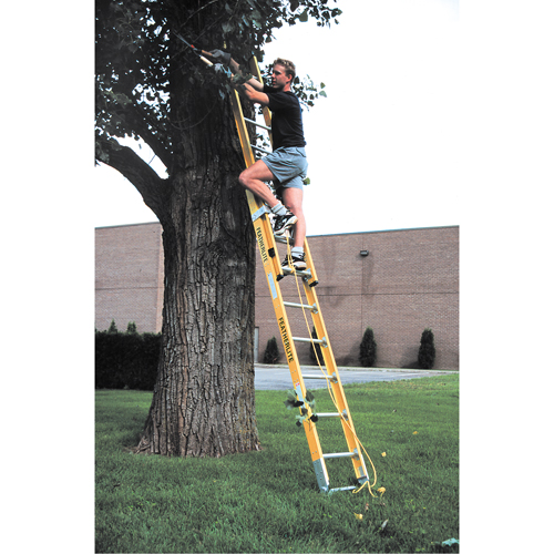 Industrial Heavy-Duty Extension Ladders (6200 Series), 375 lbs. Cap., 13' H, Grade 1AA Chandler Sales
